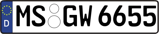 MS-GW6655