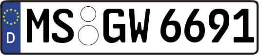 MS-GW6691
