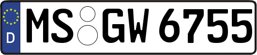 MS-GW6755