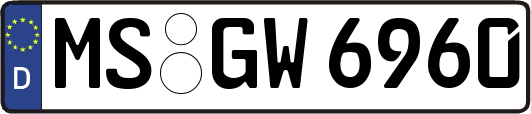 MS-GW6960