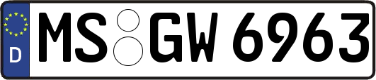 MS-GW6963