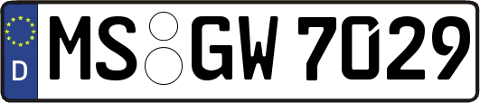 MS-GW7029