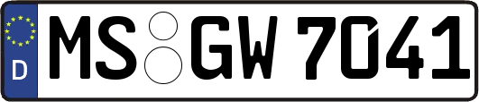MS-GW7041