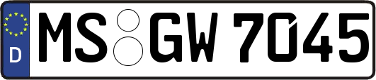 MS-GW7045