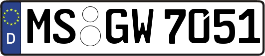 MS-GW7051