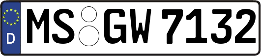 MS-GW7132