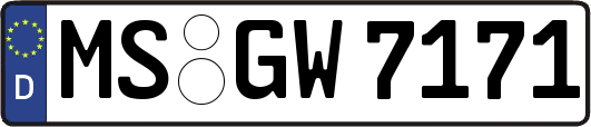 MS-GW7171