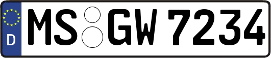 MS-GW7234