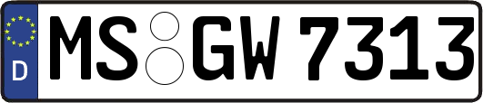 MS-GW7313