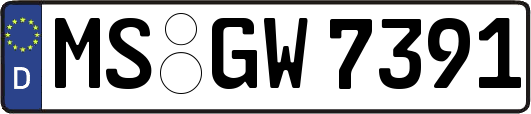 MS-GW7391