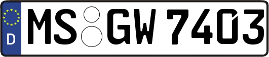 MS-GW7403