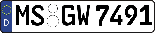 MS-GW7491