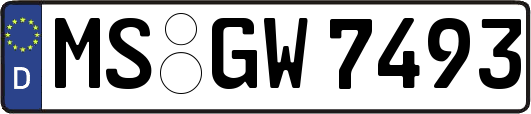 MS-GW7493