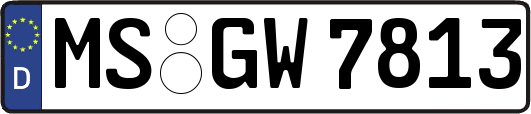 MS-GW7813