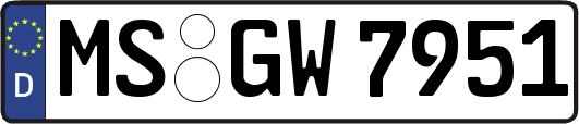 MS-GW7951