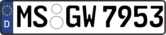 MS-GW7953