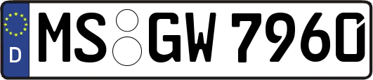 MS-GW7960