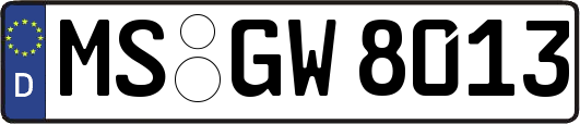 MS-GW8013