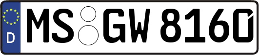 MS-GW8160