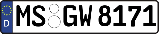 MS-GW8171