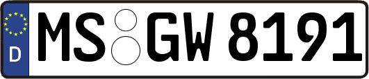 MS-GW8191