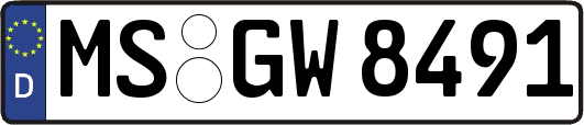 MS-GW8491