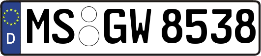 MS-GW8538