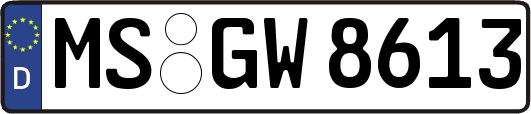 MS-GW8613
