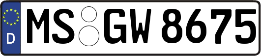 MS-GW8675