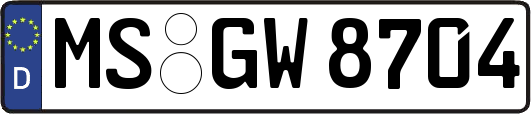 MS-GW8704
