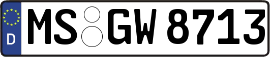 MS-GW8713