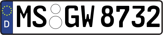 MS-GW8732