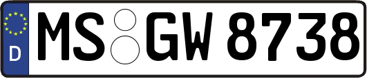 MS-GW8738
