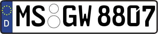MS-GW8807