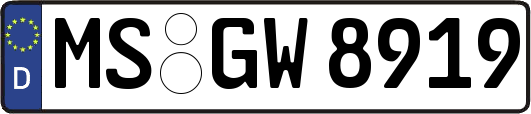 MS-GW8919