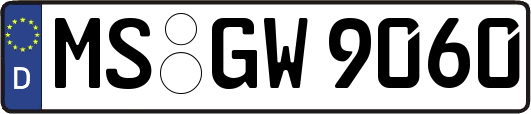 MS-GW9060