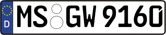 MS-GW9160