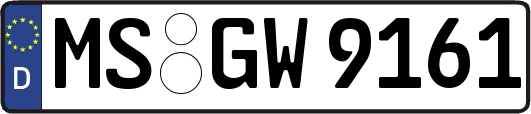 MS-GW9161