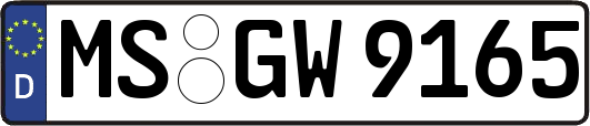 MS-GW9165