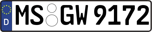 MS-GW9172