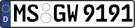 MS-GW9191