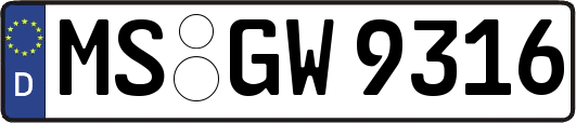 MS-GW9316