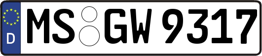 MS-GW9317
