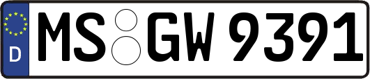 MS-GW9391