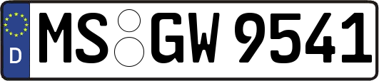 MS-GW9541