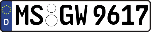 MS-GW9617