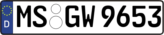MS-GW9653