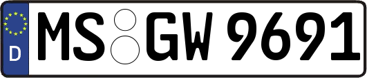 MS-GW9691