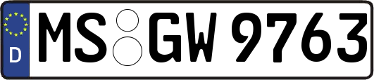 MS-GW9763