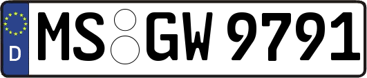 MS-GW9791